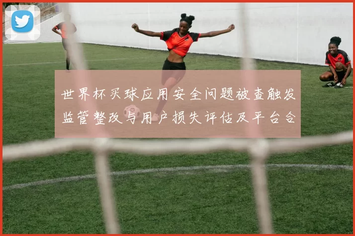世界杯买球应用安全问题被查触发监管整改与用户损失评估及平台合规路径