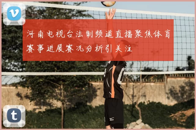 河南电视台法制频道直播聚焦体育赛事进展赛况分析引关注