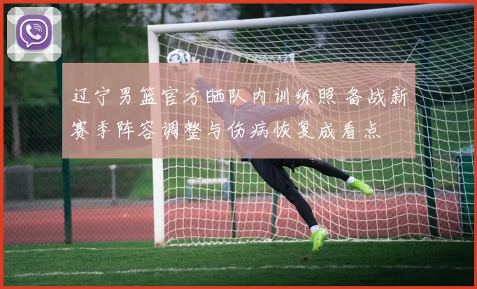 辽宁男篮官方晒队内训练照 备战新赛季阵容调整与伤病恢复成看点