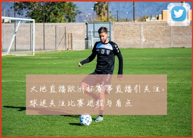 大地直播欧洲杯赛事直播引关注，球迷关注比赛进程与看点