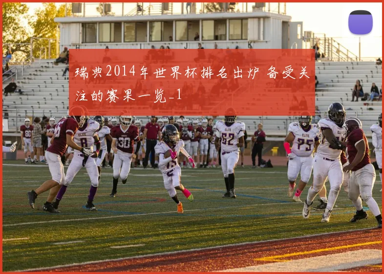 瑞典2014年世界杯排名出炉 备受关注的赛果一览_1